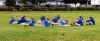 Stretching, Team.jpg (124964 bytes)